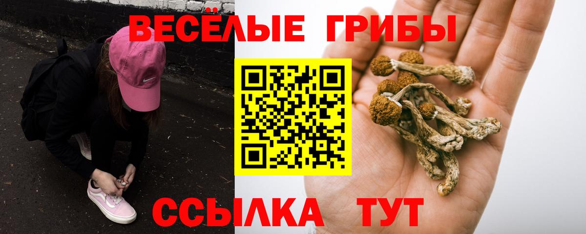 Галлюциногенные грибы Cubensis  Вход с VPN  Арсеньев 
